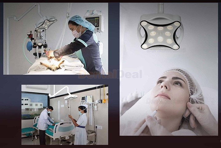 Micare JD1700 Dental Ceiling Surgical Lamp Shadowless LED Light Operating Lamp